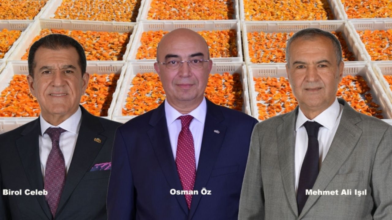 Kuru kayısının ihraç fiyatına 3 aşamalı plan