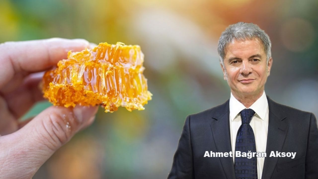 Arıların Savunma Sistemi İnsanları Da Koruyor