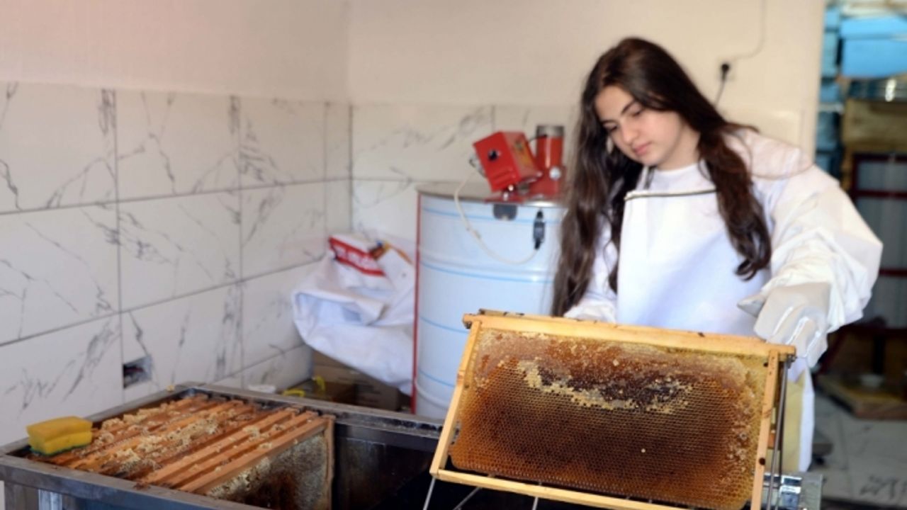 Arıcı kız kardeşlerin Ardahan çiçek balı sağımı