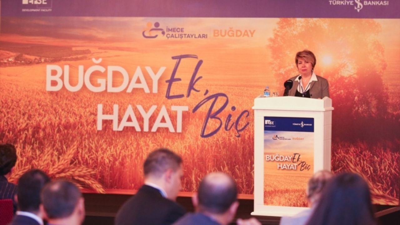 "Sürdürülebilir Buğday Üretimi", İmece Çalıştayı'nda ele alındı