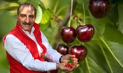 Türkiye'nin kiraz ihracatı 209 milyon dolara ulaştı
