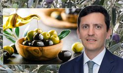 Sofralık zeytin ihracatında 255 milyon dolarlık tarihi rekor