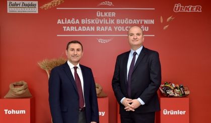Aliağa bisküvilik buğdayı Ülker ürünleriyle buluştu