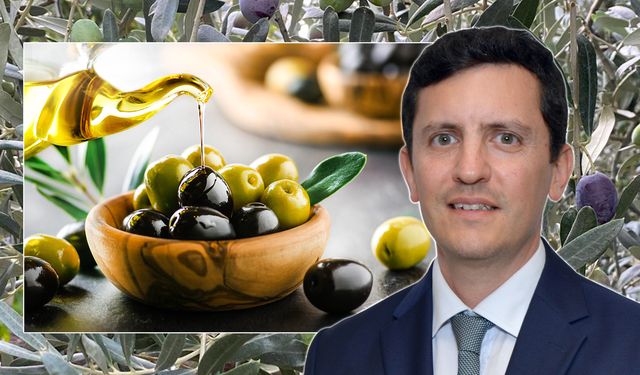 Sofralık zeytin ihracatında 255 milyon dolarlık tarihi rekor