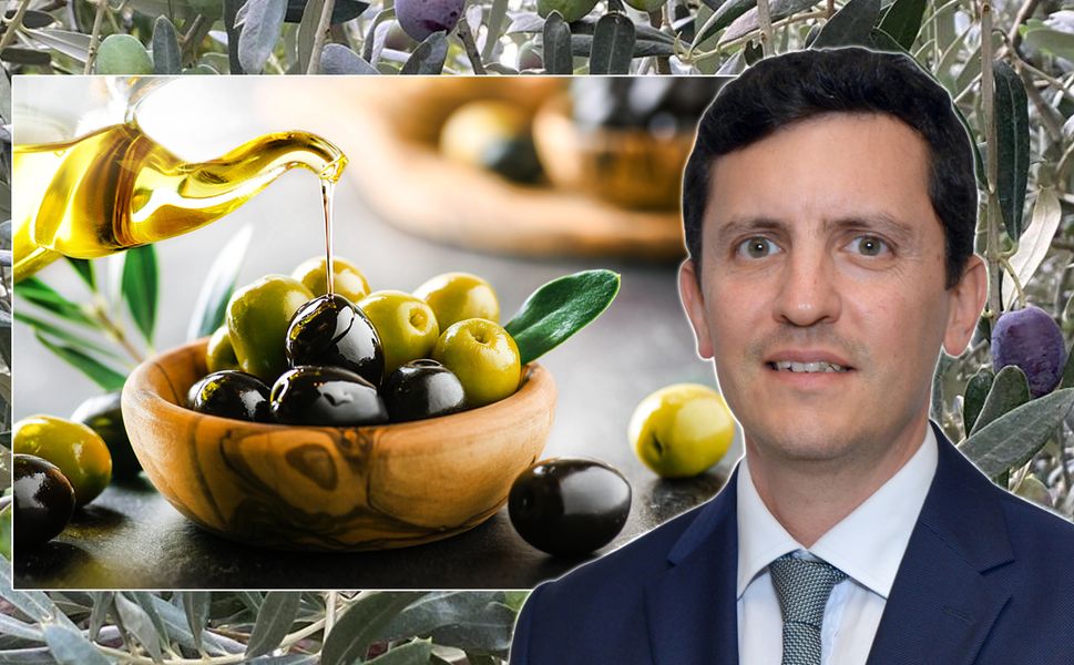 Sofralık zeytin ihracatında 255 milyon dolarlık tarihi rekor